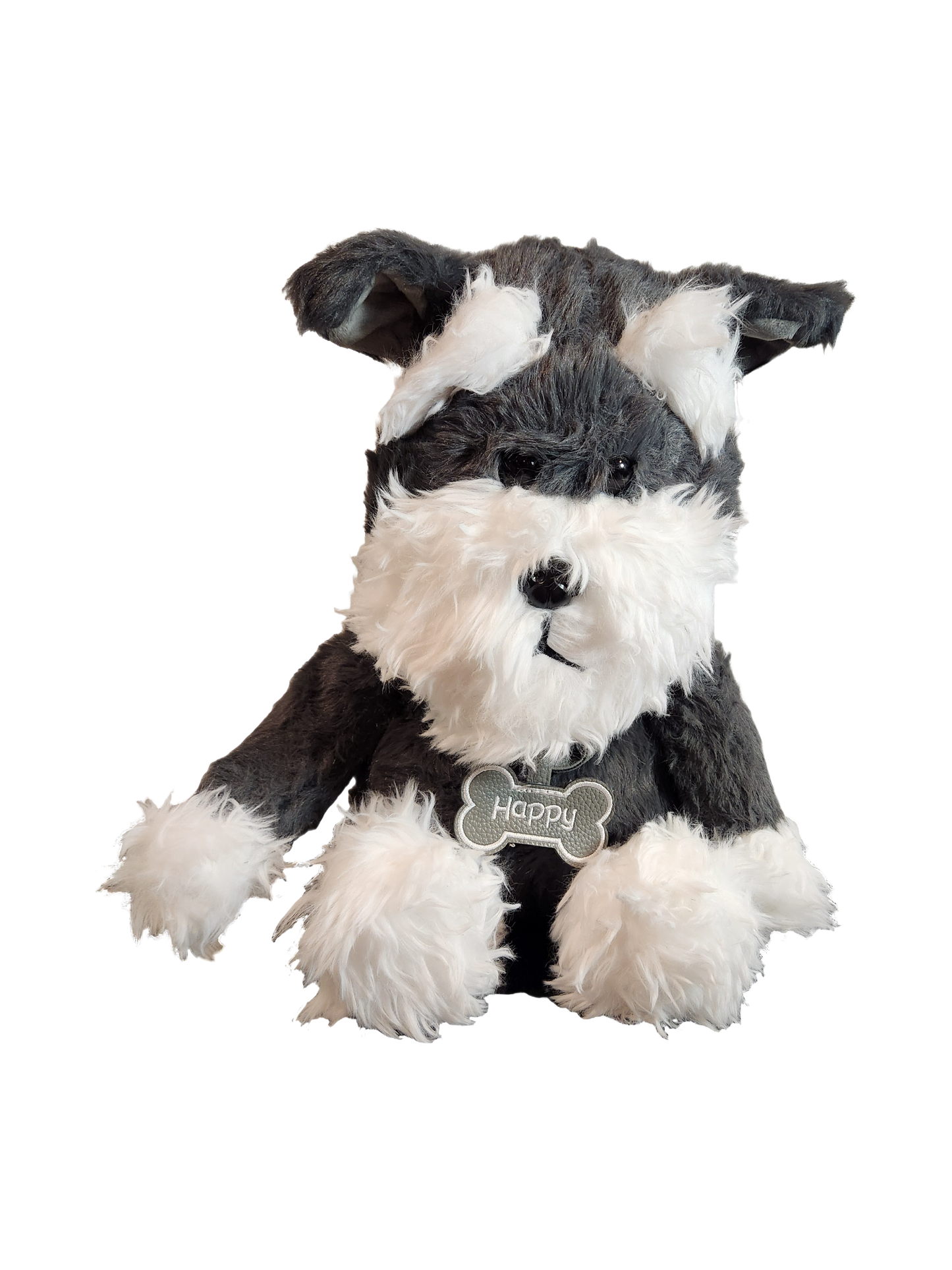 Schnauzer Dog