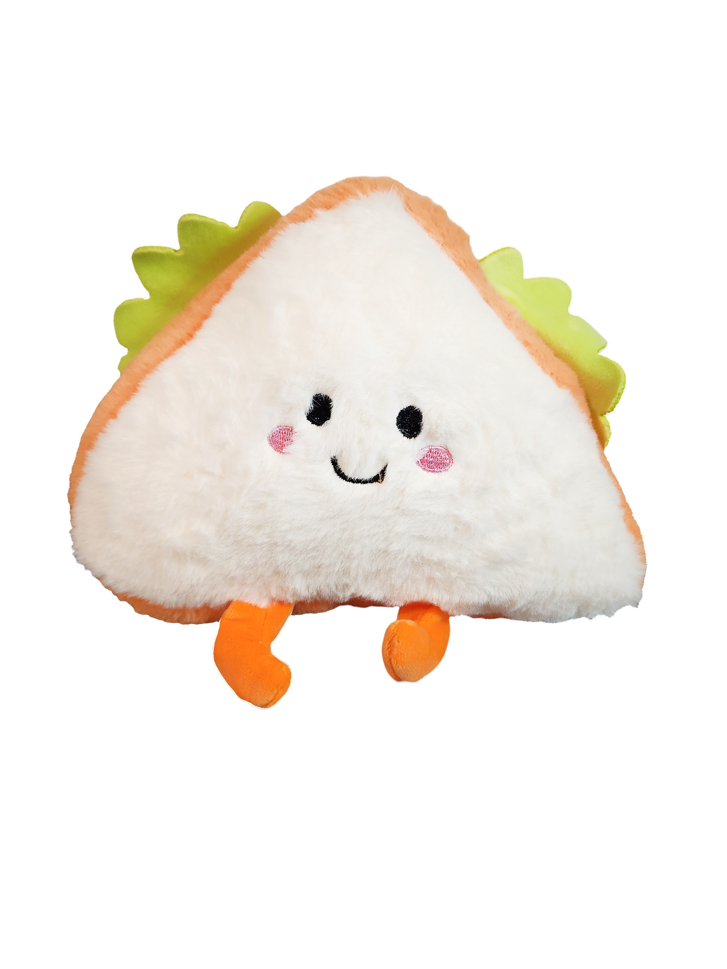 Colorful Sandwich