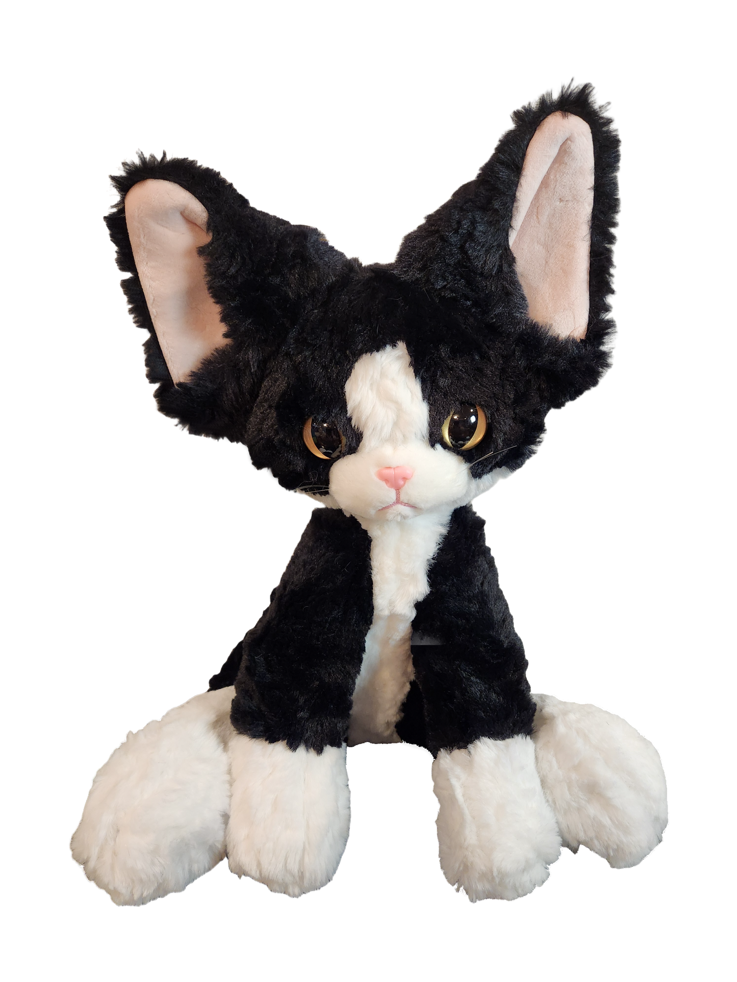 Sitting Cat