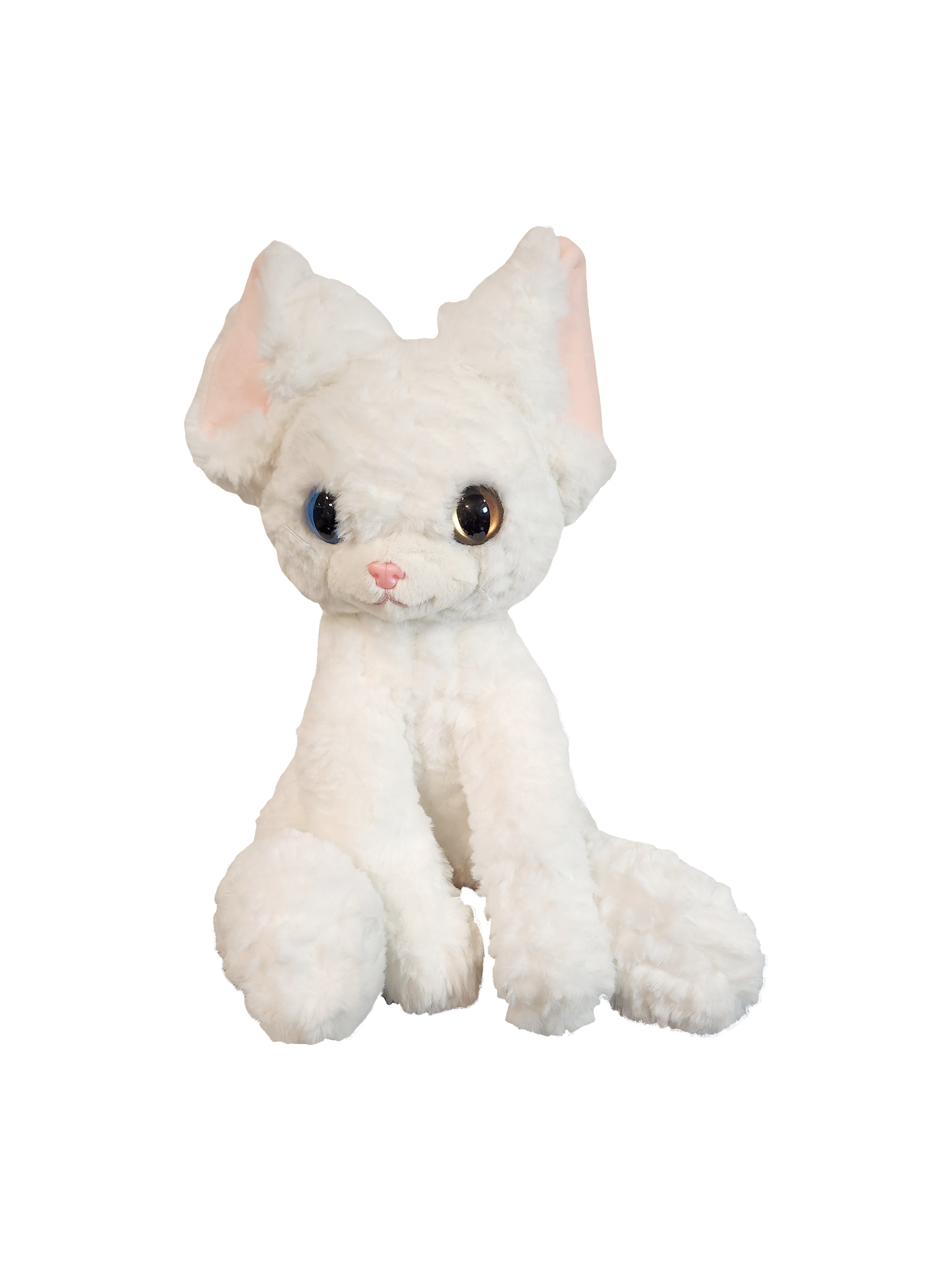 Sitting Cat