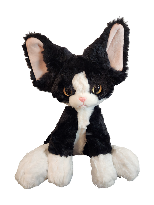 Sitting Cat
